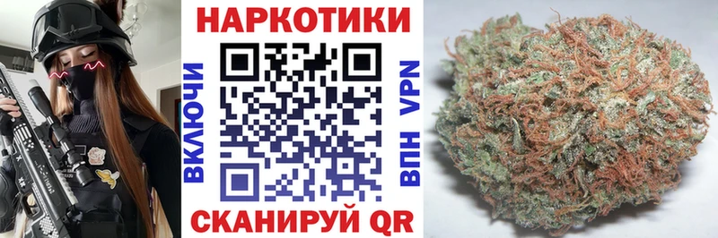 Купить закладку Гашиш  Псилоцибиновые грибы  МЕФ  Конопля  Кокаин  А ПВП  Данков