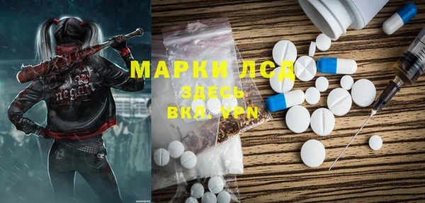 прущие грибы Дмитровск