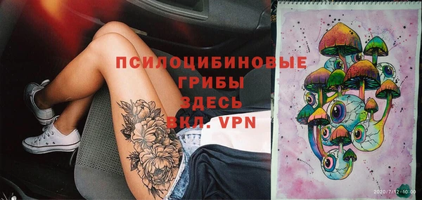 марки nbome Ельня
