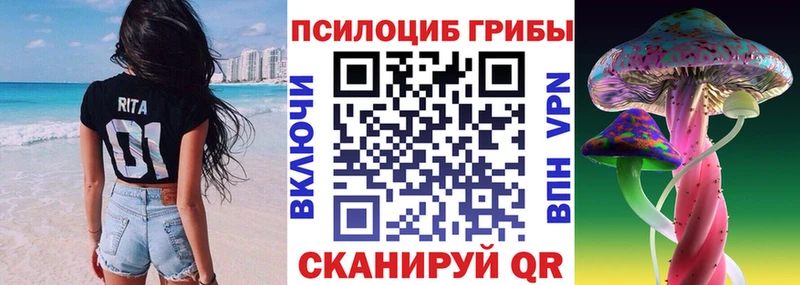 Купить закладки  Данков  Псилоцибиновые грибы мухоморы 